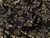 Dressmaking Fabric | Viviana Floral Silk Lame Jacquard - Gold & Black | Fabric Godmother  Dressmaking Fabric | Viviana Floral Silk Lame Jacquard - Gold & Black | Fabric Godmother