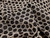 Dressmaking Fabric | Emile Dot Scalloped Broidery Anglaise - Black  | Fabric Godmother 