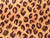 Dressmaking Fabric | Darby Animal Print Viscose Satin - Natural | Fabric Godmother 