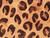 Dressmaking Fabric | Darby Animal Print Viscose Satin - Natural | Fabric Godmother 