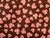 Dressmaking Fabric | Clover Floral Cotton Poplin - Brown & Pink | Fabric Godmother