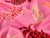 Dressmaking Fabric | Padstow Crab Viscose & Linen - Pink | Fabric Godmother
