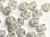 Haberdashery | Dove Buttons - 12mm - White & Blue | Fabric Godmother 