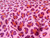 Dressmaking Fabric | Jemima Animal Print Double Gauze - Pink | Fabric Godmother