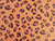 Dressmaking Fabric | Pip Leopard Water Resistant Fabric - Terracotta | Fabric Godmother 