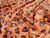 Dressmaking Fabric | Pip Leopard Water Resistant Fabric - Terracotta | Fabric Godmother 