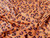 Dressmaking Fabric | Pip Leopard Water Resistant Fabric - Terracotta | Fabric Godmother 
