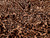 Dressmaking Fabric | Ace Animal Print Viscose Crepe - Brown | Fabric Godmother