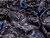 Dressmaking Fabric | Cosmo Stretch Velvet - Black | Fabric Godmother Dressmaking Fabric | Cosmo Stretch Velvet - Black | Fabric Godmother