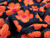 Dressmaking Fabric | Pola Daisy Sherpa - Navy & Orange | Fabric Godmother  Dressmaking Fabric | Pola Daisy Sherpa - Navy & Orange | Fabric Godmother