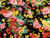 Dressmaking Fabric  | Liberty Flower Crown Tana Lawn - Black | Fabric Godmother 