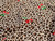 Dressmaking Fabric | Cherry Animal Print Jersey - Brown | Fabric Godmother