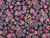 Dressmaking Fabric | Addie Floral Cotton Voile - Black | Fabric Godmother 