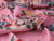 Dressmaking Fabric | Joni Floral Stripe Viscose Lawn - Pink| Fabric Godmother