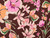 Dressmaking Fabric  | Carina Floral Crinkle Viscose - Chocolate | Fabric Godmother 