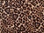 Dressmaking Fabric | Ace Animal Swimwear Jersey - Brown | Fabric Godmother 