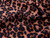 Dressmaking Fabric | Ace Animal Print Viscose Crepe - Light Brown(OLD) | Fabric Godmother