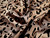 Dressmaking Fabric | Bria Animal Print Flocked Satin - Champagne | Fabric Godmother