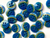 Haberdashery | Crescent Button - 12mm - Blue & Yellow | Fabric Godmother 