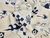 Dressmaking Fabric | Paxos Viscose & Linen - Ivory | Fabric Godmother
