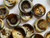 Haberdashery | Recycled Horn Buttons - 25mm - Brown | Fabric Godmother