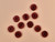 Haberdashery | Corozo Buttons - 23mm - Burgundy | Fabric Godmother