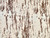 Dressmaking Fabric | Freya Abstract Denim - Cream | Fabric Godmother