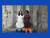 Tauko | Picnic Dress | Fabric Godmother