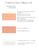 Fitiyoo | Mango Fizz Bloomer | Fabric Godmother