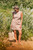 Fibre Mood | Frankie Dress | Fabric Godmother