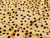 Dressmaking Fabric | Vivian Spot Viscose Crepe - Butter | Fabric Godmother
