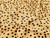Dressmaking Fabric | Vivian Spot Viscose Crepe - Butter | Fabric Godmother