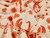 Sand Banks Viscose & Linen - Cream