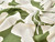 Gaia Floral Viscose Twill - Green