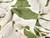 Dressmaking Fabric | Gaia Floral Viscose Twill - Green | Fabric Godmother 