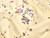 Dressmaking Fabric | Lottie Floral Silk & Cotton - Light Yellow | Fabric Godmother 