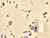 Dressmaking Fabric | Lottie Floral Silk & Cotton - Light Yellow | Fabric Godmother 