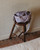Rosie Caldwell | Ida Bag | Fabric Godmother