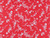 Dressmaking Fabric | Liberty Fabrics Tana Lawn® Elizabeth Sketch - Red | Fabric Godmother 
