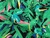 Dressmaking Fabric | Basil Tropical Cotton Poplin - Black | Fabric Godmother