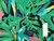 Dressmaking Fabric | Basil Tropical Cotton Poplin - Black | Fabric Godmother