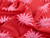Dressmaking Fabric | Solstice Viscose & Linen - Red | Fabric Godmother
