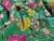 Dressmaking Fabric | Liberty Fabrics Tana Lawn® Louie's Meadow - Green | Fabric Godmother 