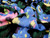 Dressmaking Fabric | Primrose Floral Viscose Crepe - Multi | Fabric Godmother