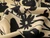 Dressmaking Fabric | Bonnie Viscose Sateen - Cream | Fabric Godmother