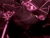Dressmaking Fabric | Picture Perfect Viscose Sateen - Burgundy| Fabric Godmother