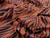 Dressmaking Fabric | Like A Zebra Cotton Poplin - Nutmeg & Cobalt | Fabric Godmother 
