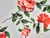 (1.20m) Grace Floral Viscose Twill - Ivory
