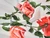 Dressmaking Fabric | Grace Floral Viscose Twill - Ivory | Fabric Godmother