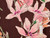 Dressmaking Fabric  | Carina Floral Crinkle Viscose - Chocolate | Fabric Godmother 